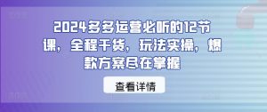 2024多多运营必听的12节课,全程干货,玩法实操,爆款方案尽在掌握-淘金日记