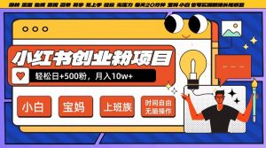 小红书创业粉项目日+500粉,每天20分钟躺赚长尾收益,无脑操作,宝妈,小白抓紧冲【揭秘】-淘金日记