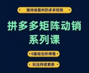 拼多多矩阵动销系列课，能持续盈利的多多矩阵，0基础也听得懂，玩法持续更新-淘金日记