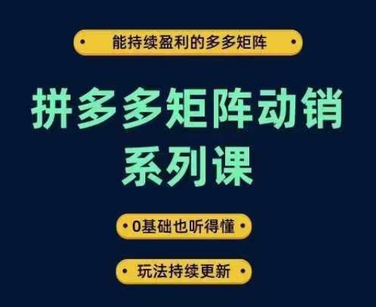 拼多多矩阵动销系列课，能持续盈利的多多矩阵，0基础也听得懂，玩法持续更新-淘金日记