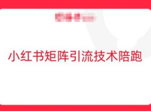 小红书矩阵引流技术，教大家玩转小红书流量-淘金日记