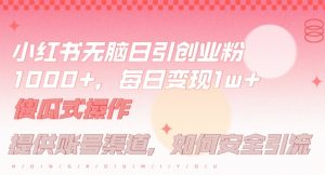 小红书无脑每日引流创业粉500+，小白每天只花半小时，躺赚长尾收益【揭秘】-淘金日记