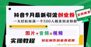 抖音9月最新引流创业粉,轻松制作创业类视频,一天轻松加满一个500人精准创业粉群【揭秘】-淘金日记