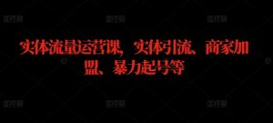 实体流量运营课,实体引流、商家加盟、暴力起号等-淘金日记