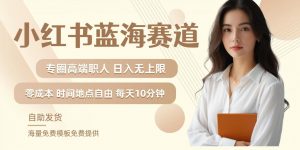 小红书蓝海赛道,圈中高端职场人,月入无上限,可矩阵,内含私域实操教程!-淘金日记