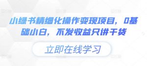 小绿书精细化操作变现项目，0基础小白，不发收益只讲干货-淘金日记