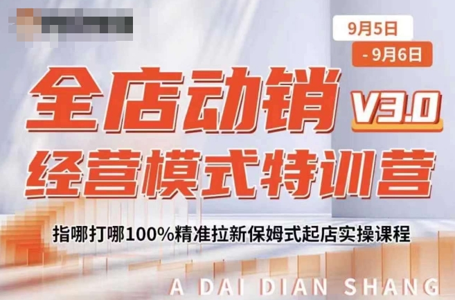 全店动销经营模式特训营，指哪打哪100%精准拉新保姆式起店实操课程-淘金日记