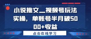 小说推文—视频号玩法实操,单账号半月破5000+收益-淘金日记