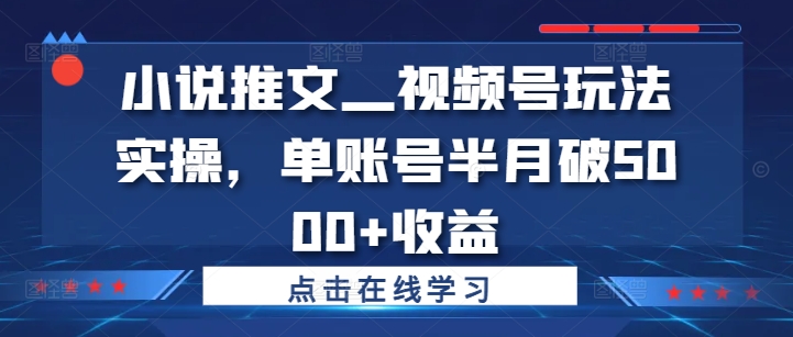 小说推文—视频号玩法实操,单账号半月破5000+收益-淘金日记