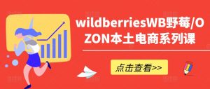 wildberriesWB野莓/OZON本土电商系列课，掌握WB产品优化，出单技巧和订单处理等-淘金日记