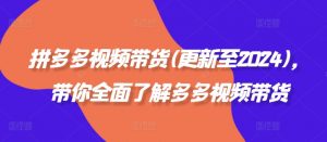 拼多多视频带货(更新至2024)，带你全面了解多多视频带货-淘金日记