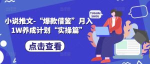 小说推文-“爆款借鉴”月入1W养成计划“实操篇”-淘金日记