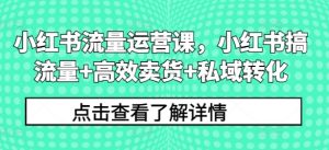 小红书流量运营课，小红书搞流量+高效卖货+私域转化-淘金日记