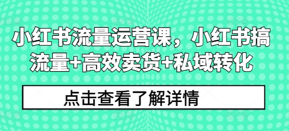 小红书流量运营课，小红书搞流量+高效卖货+私域转化-淘金日记