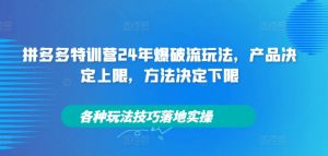 拼多多特训营24年爆破流玩法,产品决定上限,方法决定下限,各种玩法技巧落地实操-淘金日记