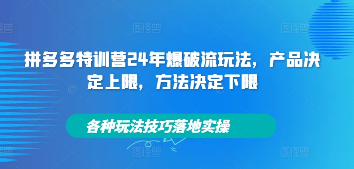 拼多多特训营24年爆破流玩法,产品决定上限,方法决定下限,各种玩法技巧落地实操-淘金日记