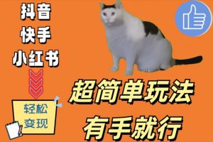超简单玩法，有手就行，靠猫咪视频日入500+【揭秘】-淘金日记