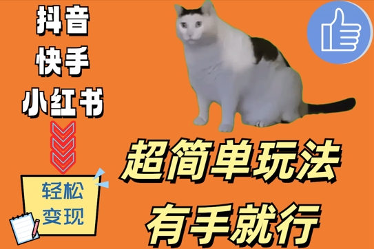 超简单玩法，有手就行，靠猫咪视频日入500+【揭秘】-淘金日记