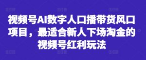 视频号AI数字人口播带货风口项目，最适合新人下场淘金的视频号红利玩法-淘金日记
