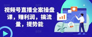视频号直播全案操盘课,赚利润,搞流量,提势能-淘金日记