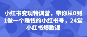 小红书变现特训营，带你从0到1做一个赚钱的小红书号，24堂小红书爆款课-淘金日记