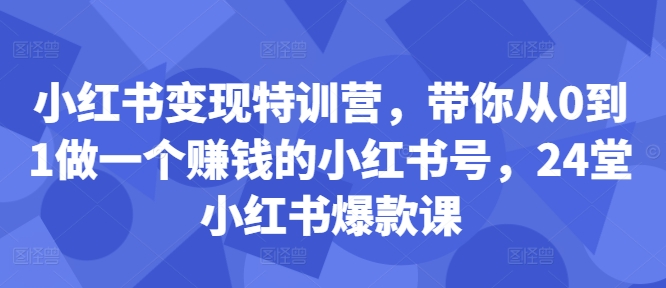 小红书变现特训营，带你从0到1做一个赚钱的小红书号，24堂小红书爆款课-淘金日记