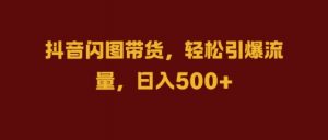抖音闪图带货,轻松引爆流量,日入几张【揭秘】-淘金日记
