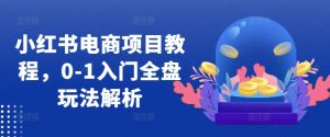 小红书电商项目教程,0-1入门全盘玩法解析-淘金日记