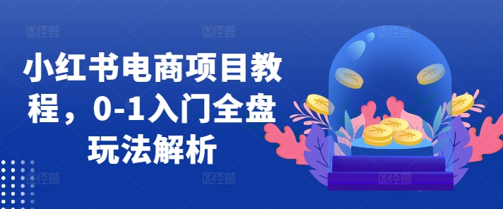 小红书电商项目教程,0-1入门全盘玩法解析-淘金日记