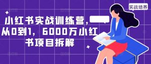 小红书实战训练营，从0到1，6000万小红书项目拆解-淘金日记
