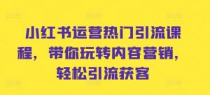 小红书运营热门引流课程,带你玩转内容营销,轻松引流获客-淘金日记