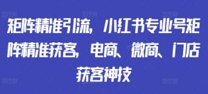 矩阵精准引流,小红书专业号矩阵精准获客,电商、微商、门店获客神技-淘金日记