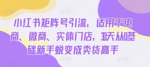 小红书矩阵号引流,适用于电商、微商、实体门店,30天从0基础新手蜕变成卖货高手-淘金日记