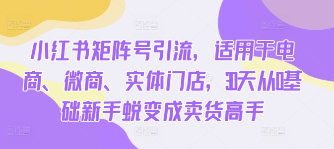 小红书矩阵号引流,适用于电商、微商、实体门店,30天从0基础新手蜕变成卖货高手-淘金日记