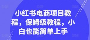 小红书电商项目教程,保姆级教程,小白也能简单上手-淘金日记
