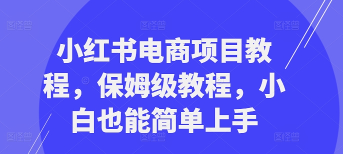 小红书电商项目教程,保姆级教程,小白也能简单上手-淘金日记