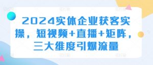 2024实体企业获客实操,短视频+直播+矩阵,三大维度引爆流量-淘金日记