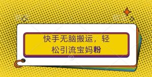 快手无脑搬运，轻松引流宝妈粉，纯小白轻松上手【揭秘】-淘金日记