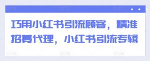 巧用小红书引流顾客,精准招募代理,小红书引流专辑-淘金日记