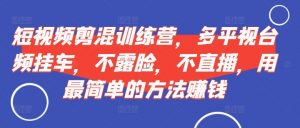 短视频剪混训练营,多平视台频挂车,不露脸,不直播,用最简单的方法赚钱-淘金日记