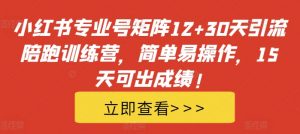 小红书专业号矩阵12+30天引流陪跑训练营,简单易操作,15天可出成绩!-淘金日记