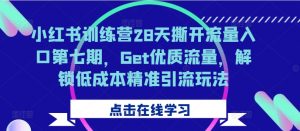 小红书训练营28天撕开流量入口第七期,Get优质流量,解锁低成本精准引流玩法-淘金日记