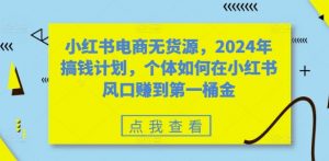 小红书电商无货源,2024年搞钱计划,个体如何在小红书风口赚到第一桶金-淘金日记