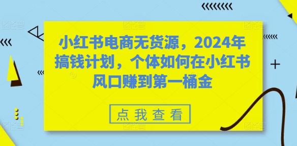 小红书电商无货源,2024年搞钱计划,个体如何在小红书风口赚到第一桶金-淘金日记