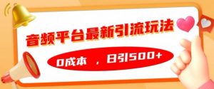 音频平台最新引流玩法，0成本，日引500+【揭秘】-淘金日记