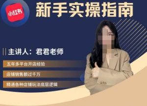 君君-小红书电商从入门到精通，新手实操指南-淘金日记