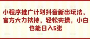 小程序推广计划抖音新出玩法,官方大力扶持,轻松实操,小白也能日入5张【揭秘】-淘金日记
