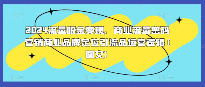 2024流量吸金变现，商业流量密码营销商业品牌定位引流品运营逻辑(图文)-淘金日记