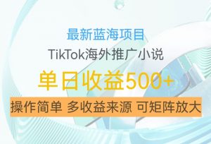 最新蓝海项目,利用tiktok海外推广小说赚钱佣金,简单易学,日入500+,可矩阵放大【揭秘】-淘金日记
