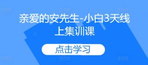 亲爱的安先生-小白3天线上集训课-淘金日记